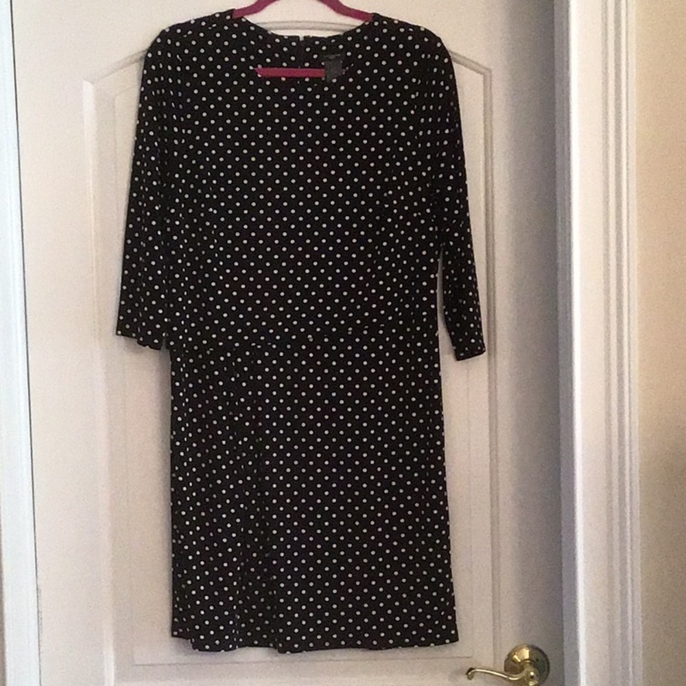 Ann Taylor polka dot dress size Large petite